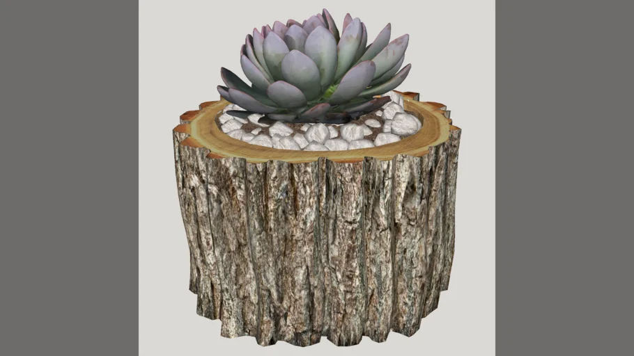 tronco com plantinha