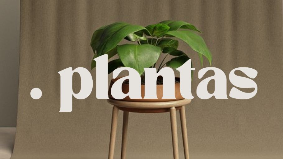 Plantas // Plants