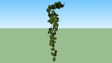 Vegetação/jardim