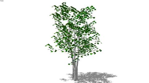 02-LANDSCAPE ARCHITECTURE