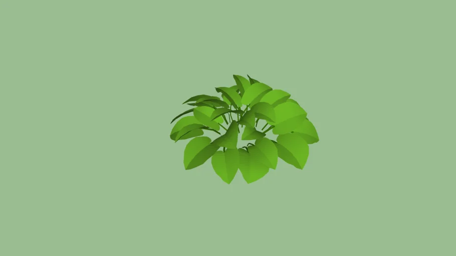 Guacamole Hosta